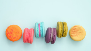 Macaroons pastel neo fauvism florianne - pastell free wallpaper