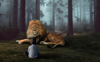 Lion man blue shirt forest - the ground next free wallpaper