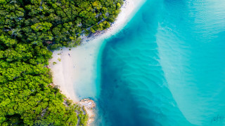 Beach sandy shore forest aerial - a blue water free wallpaper