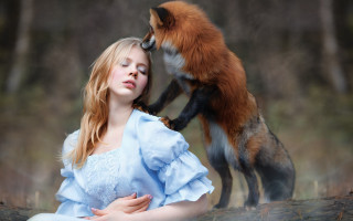 Woman blue dress red fox - tree and grass free wallpaper