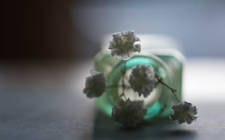 Small flower spiral object blurry - a spiral design free wallpaper