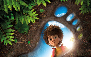 Bear paw hole child nature - leaf and grass free wallpaper