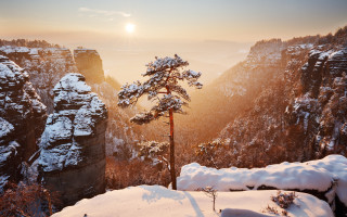 Snowy mountain tree sunset lake - beautiful landscape free wallpaper