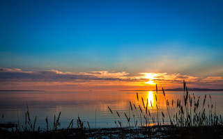 Sunset water tallgrass distantisland mattepaining - distant free wallpaper