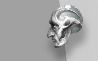 White mask gray background haeckel - earnst haeckel free wallpaper