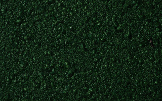 Green waterdroplets red object forest - a green wall free wallpaper