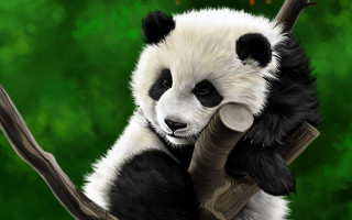 Panda birthday sign digital painting - its head on free wallpaper