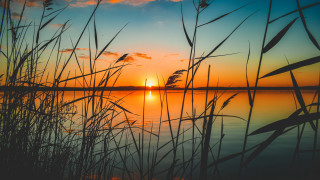 Sunset lake tallgrass orange sky 2 - a sunset over a lake free wallpaper