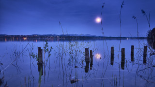 Full moon lake reeds dock - over a lake free wallpaper