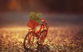 Red bicycle plant basket sunset - a small plant free wallpaper