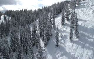 Snow covered mountain trees sky - side and a sky background free wallpaper