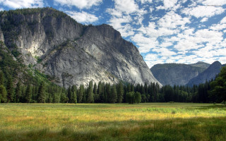Mountain meadow trees blue sky 2 - ansel adams free wallpaper