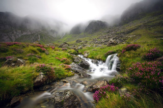 Stream lush hillside flowerfield mist - a stream free wallpaper