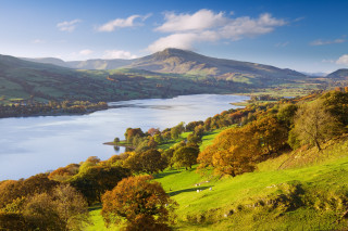 Lake mountains trees clouds sky 2 - a few sheep free wallpaper