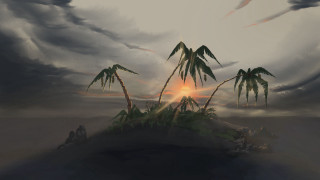 Sunset palm trees cloudy sky - palm tree free wallpaper