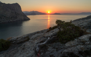 Sunset water tree mountains city - a sunset over a body of water free wallpaper