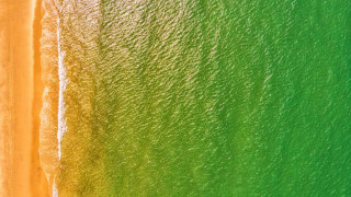 Beach green yellow white sand - color scheme free wallpaper