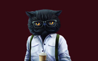 Black cat glasses coffee red - a black cat free wallpaper