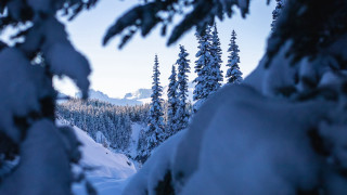 Snowy mountain forest sky blurry - the background and a sky background free wallpaper