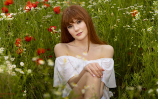 Anna hotchkis flower field christmas - a field of flowers free wallpaper