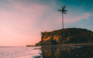 Palm tree rocky beach sunset - a rocky beach free wallpaper