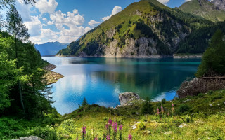 Lake mountains trees sunny bluewater - blue water free wallpaper
