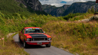 Red black car lush green - a road next free wallpaper