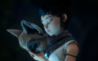 Boy vase cat solo blurry - a vase free wallpaper