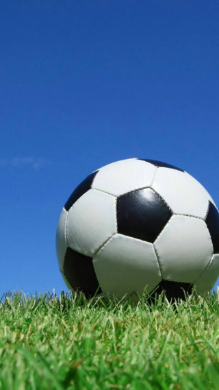 Soccer ball green field sunny - free sports wallpaper