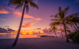 Sunset tropical beach palm boat - a tropical beach free wallpaper