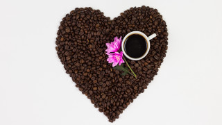 Heart coffee beans pink flower - coffee bean free wallpaper