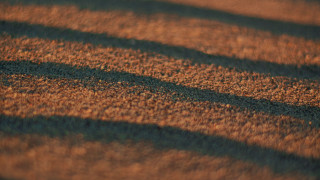 Tennis court shadow tennis ball - tonalism free wallpaper