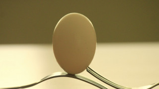 Fork egg meat raytraced precisionism - ray free wallpaper