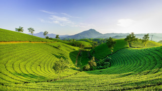 Green field mountain blue sky - a green field free wallpaper for desktop