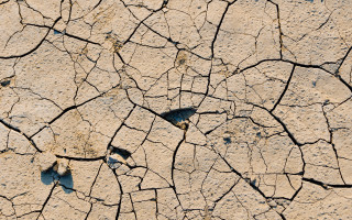 Cracked surface bird honeycomb fence - cornelia parker free wallpaper