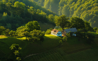 Lush green hillside house winding - road free wallpaper