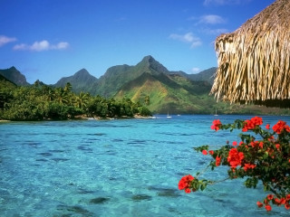 Tropical beach thatched roof flowers 2 - roof free wallpaper