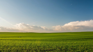 Green field clouds cows mountain - a green field free wallpaper