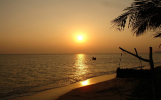 Sunset boat palm beach ocean - sunset time free wallpaper