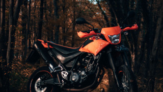 Motorcycle woods person night outdoors - boleslaw cybi free wallpaper