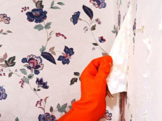 Person orange rubber gloves cleaning - aileen eagleton free wallpaper