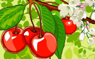 Cherries flowers leaves green background - white flower and leaves free wallpaper