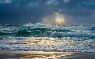 Beach waves sunbeam birds australian - overhead free wallpaper