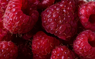 Raspberries water droplets macro closeup - berry free wallpaper