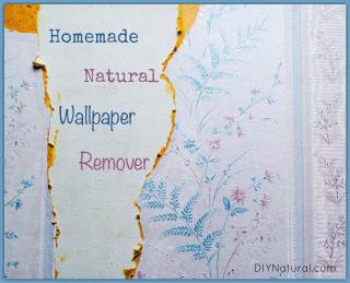 Torn paper words flower pattern - torn free wallpaper