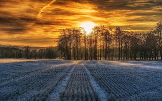 Snowy trees sunset clouds reflection - a snowy field free wallpaper