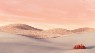Desert lone tree pink sky - pixar and disney animation free wallpaper