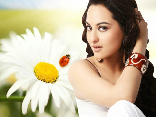 Ladybug daisy lyco art photorealistic - free 3d render wallpaper