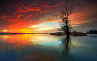 Mystical tree lake sunset clouds - the middle of a lake free wallpaper