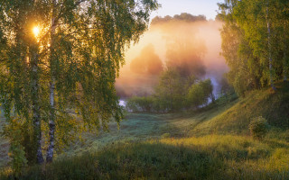 Foggy forest river sunbeam impressionist - andrey ryabovichev free wallpaper